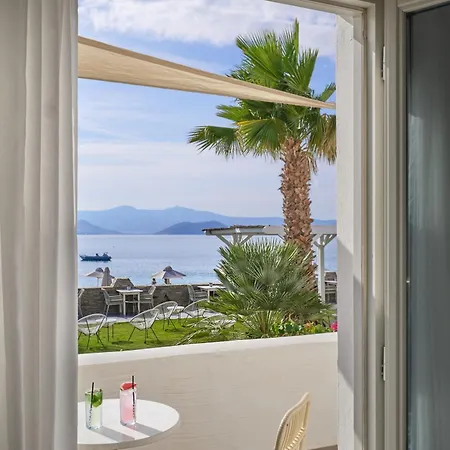 Liana & Hotel 4*