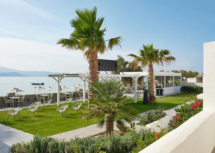 Отель Liana & 4*